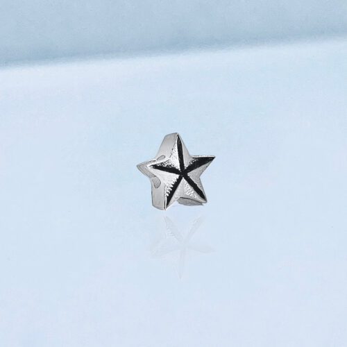 Verwisselbare los hanger Dames Sieraden Zeester