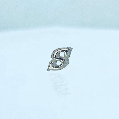 Verwisselbare hanger Dames Sieraden Letter S