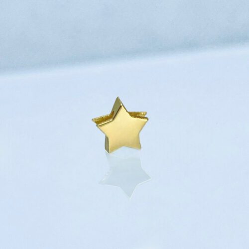 Verwisselbare los hanger Dames Sieraden Ster 1/glans 1/maat